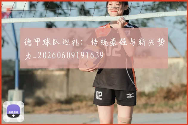 德甲球队巡礼:传统豪强与新兴势力_20260609191639