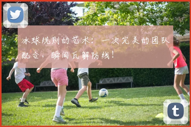 冰球规则的艺术：一次完美的团队配合，瞬间瓦解防线！