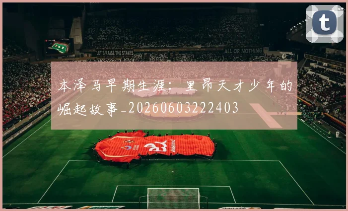 本泽马早期生涯：里昂天才少年的崛起故事_20260603222403